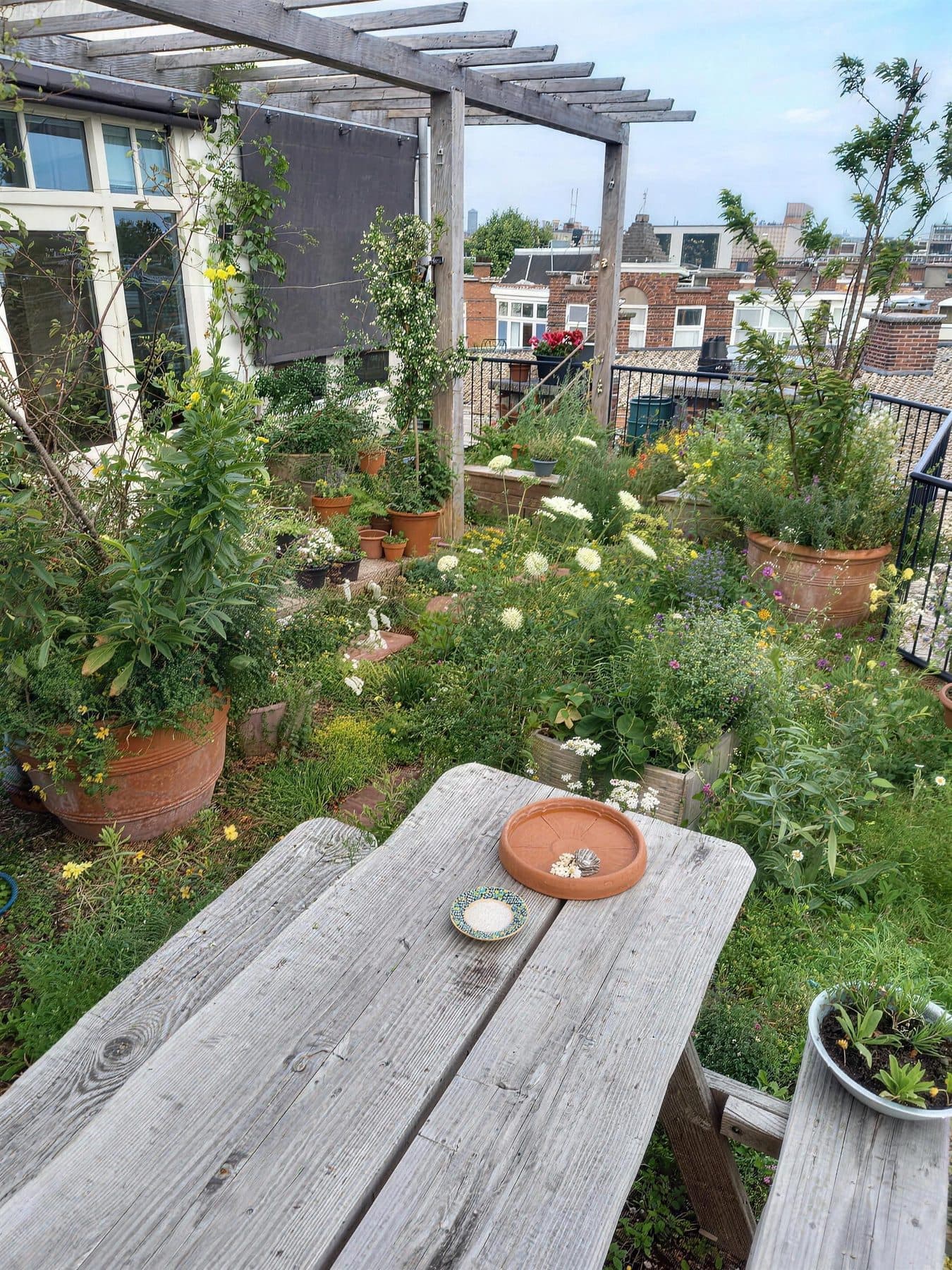 Daktuin met bloeiende planten tussen de sedum, aangelegd door Diemel