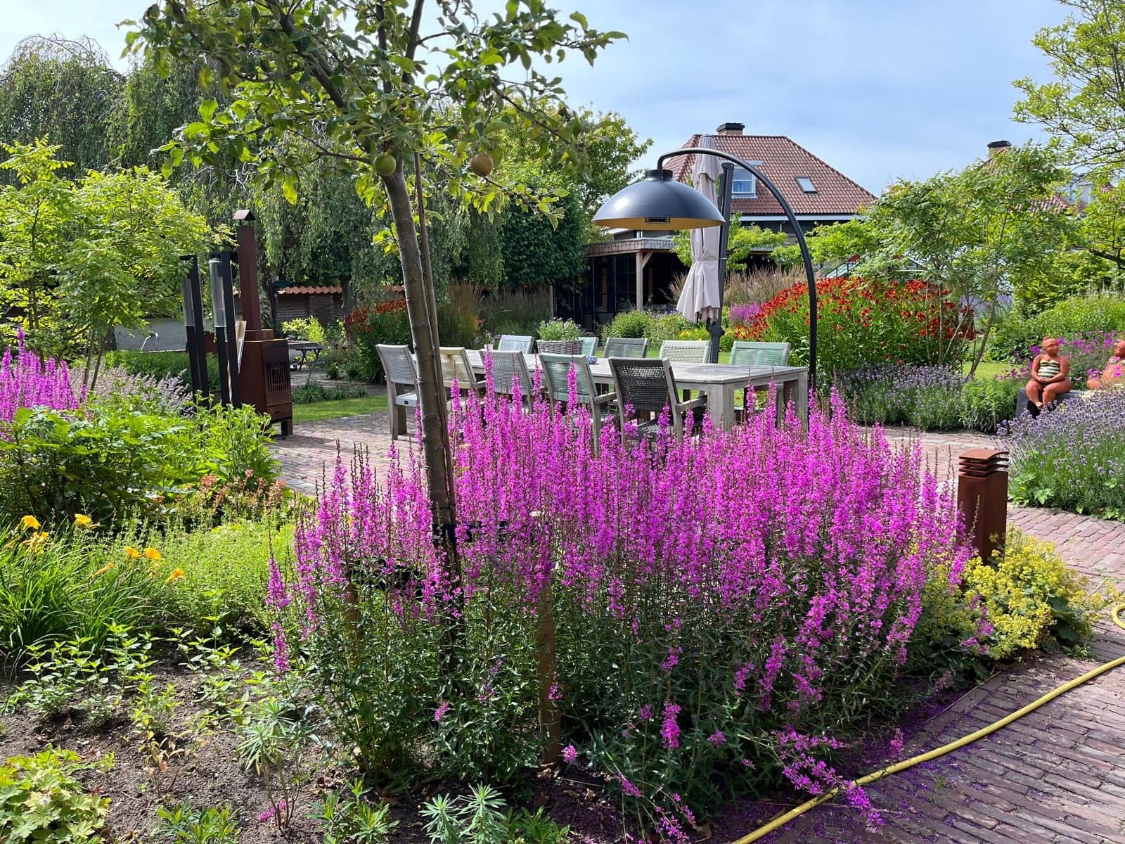Hoge kattenstaart en vaste planten in een border langs het terras