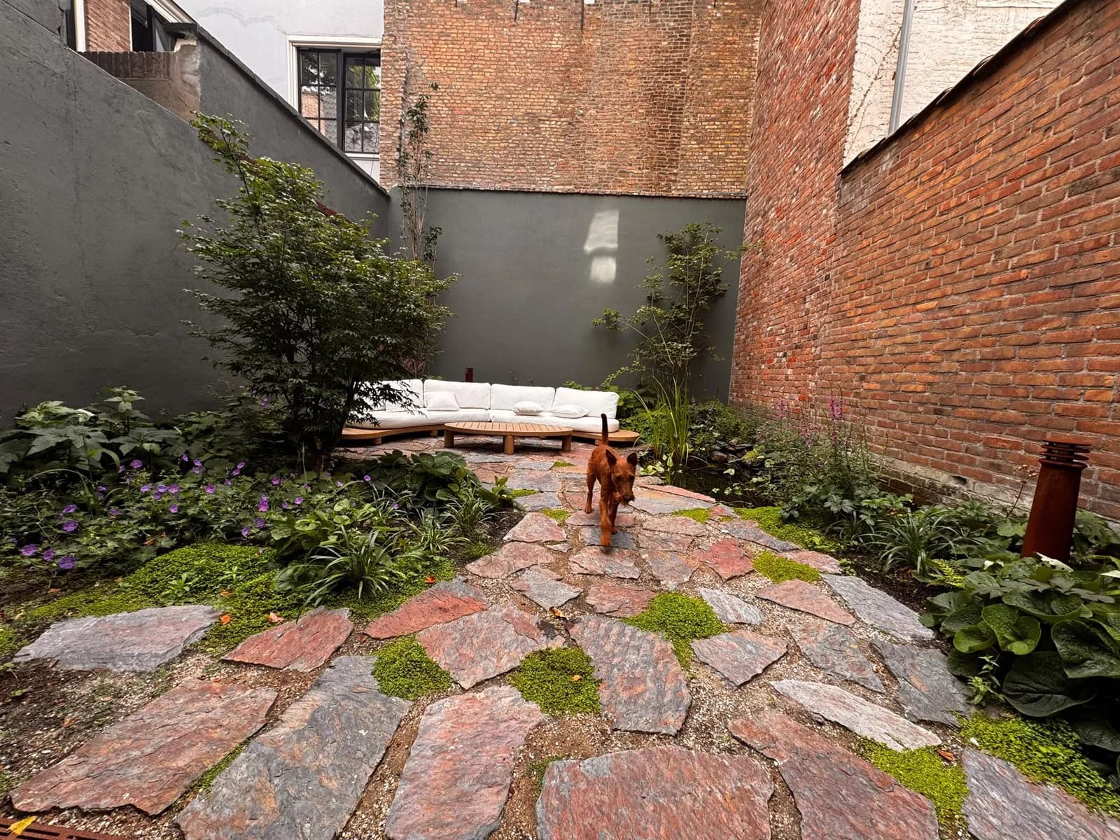 Dezelfde binnenplaats na de aanleg, met een pad van flagstones en schaduwplanten