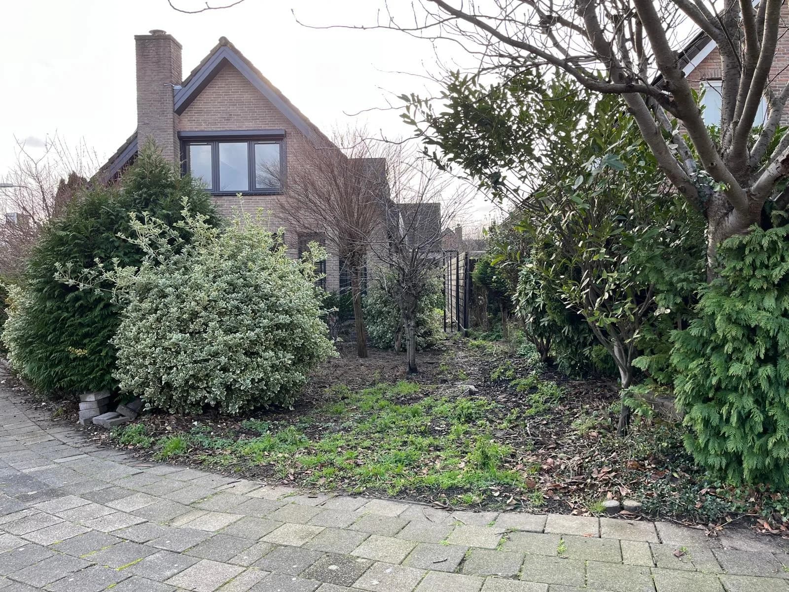 De voortuin in Wateringen voor de aanleg, met heesters en kale grond