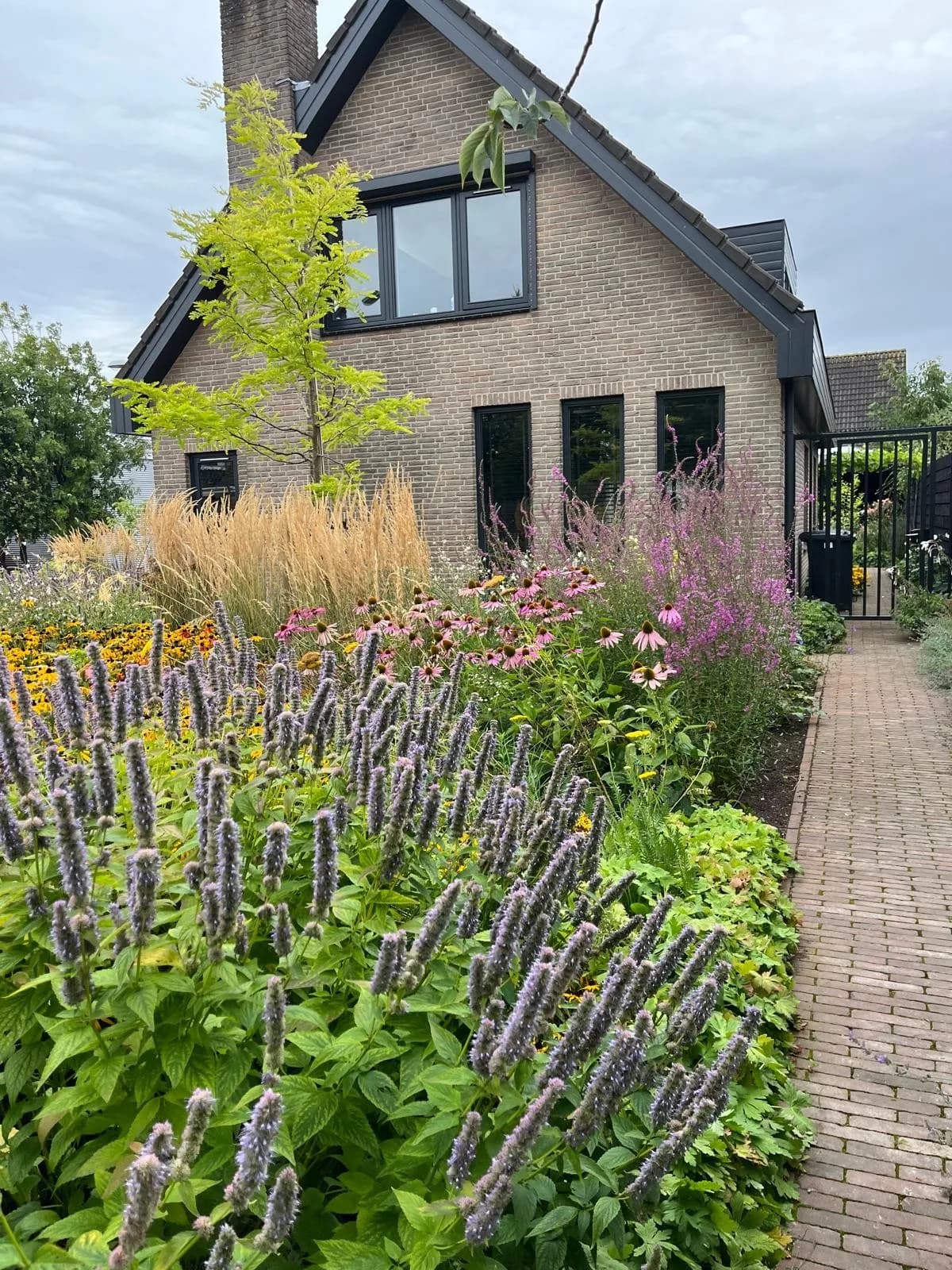 Klinkerpad langs de zijgevel tussen bloeiende prairiebeplanting