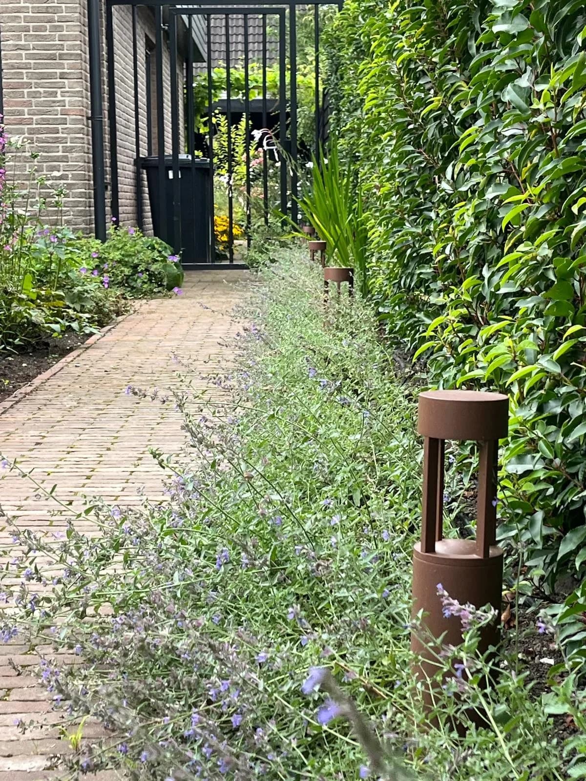 Smal klinkerpad langs de zijgevel met nepeta en een cortenstalen lamp