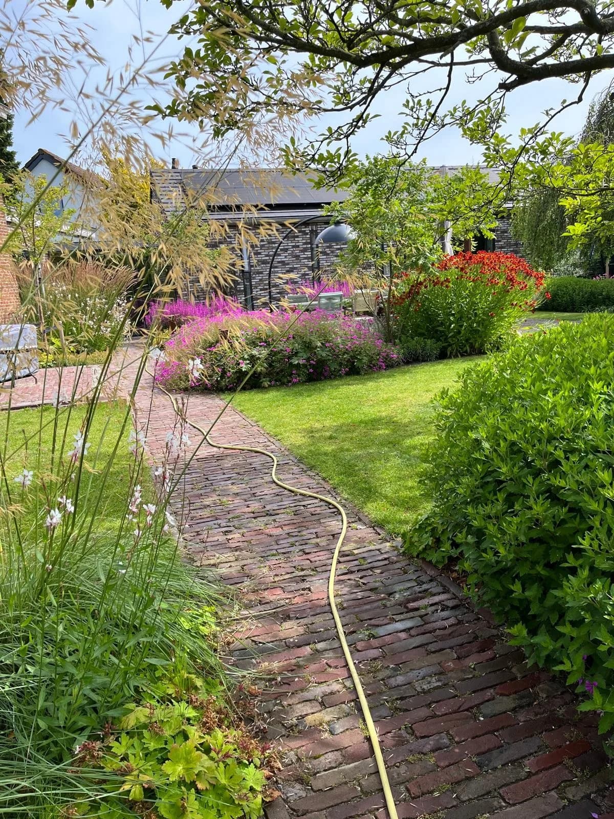 Slingerend klinkerpad langs gazon en borders