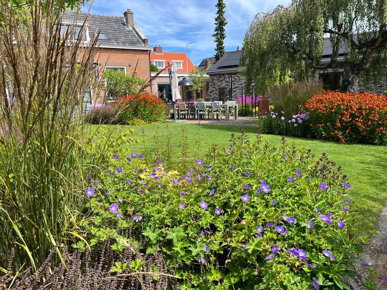 Border met blauwe geranium en siergras langs het gazon