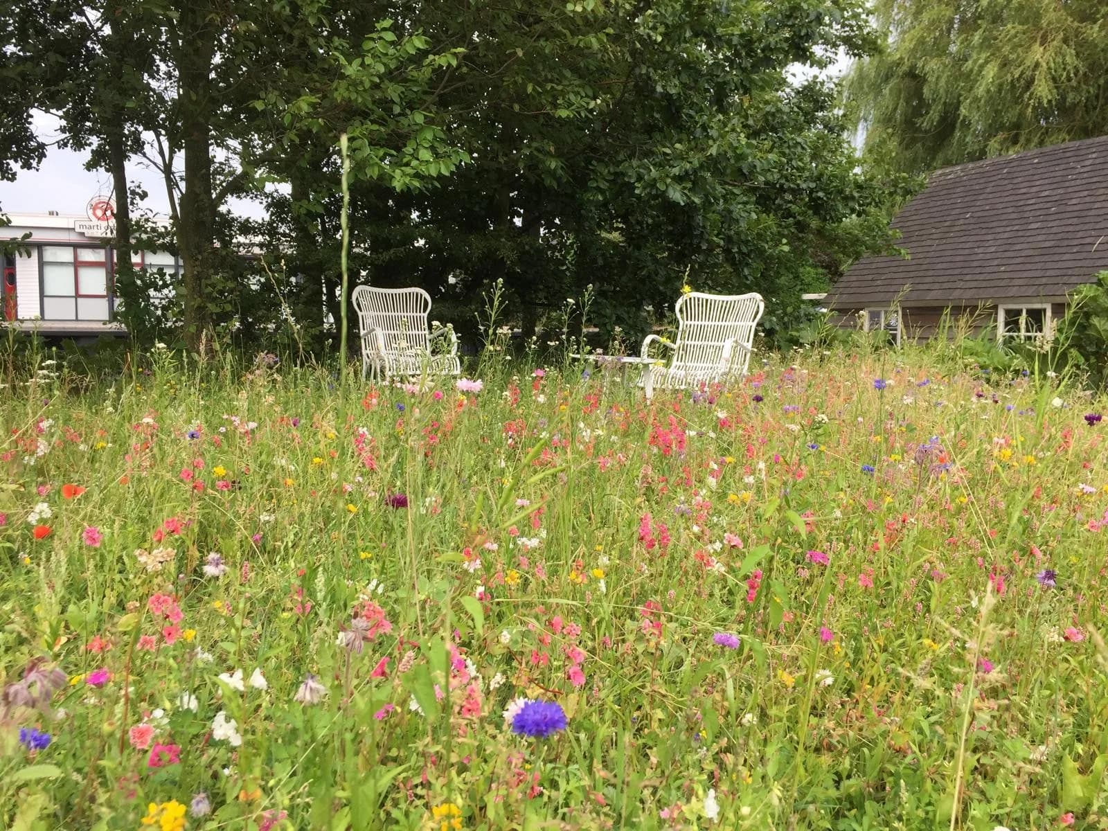 Bloemenweide met twee witte stoelen