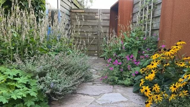 Rudbeckia en vaste planten langs het terras van flagstones