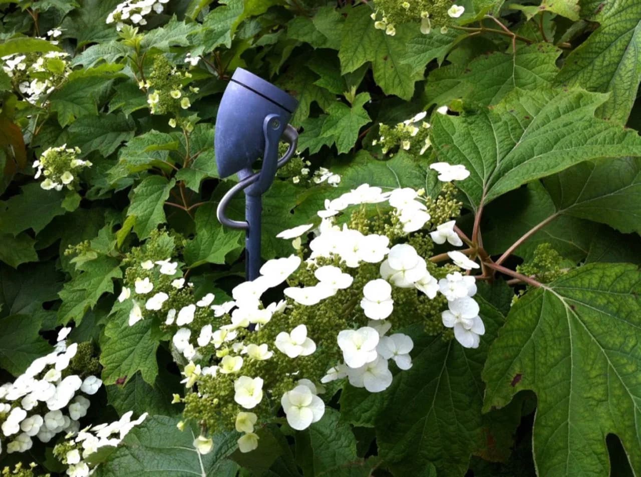 Moderne tuinverlichting speelt ook een belangrijke rol in de tuinbeleving