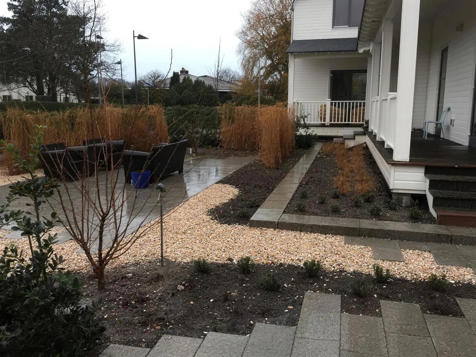 Strakke tuin in Den Haag met weelderige beplanting, geïnspireerd door de duinen