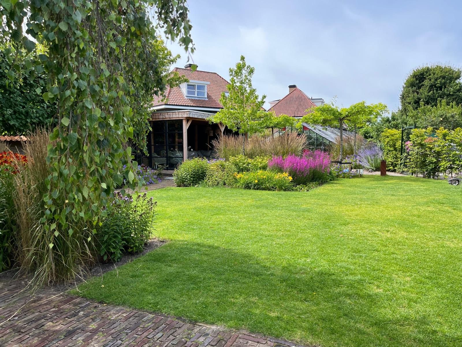 Gazon met bloeiende borders en een berk in een tuin van Diemel in Den Haag