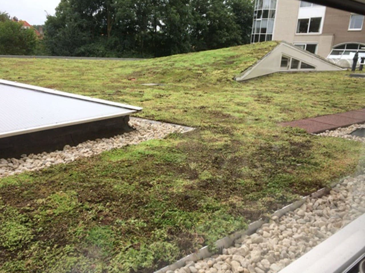 Sedumdak op het complex van een VvE in Voorburg, aangelegd door Diemel met een systeem van ZinCo