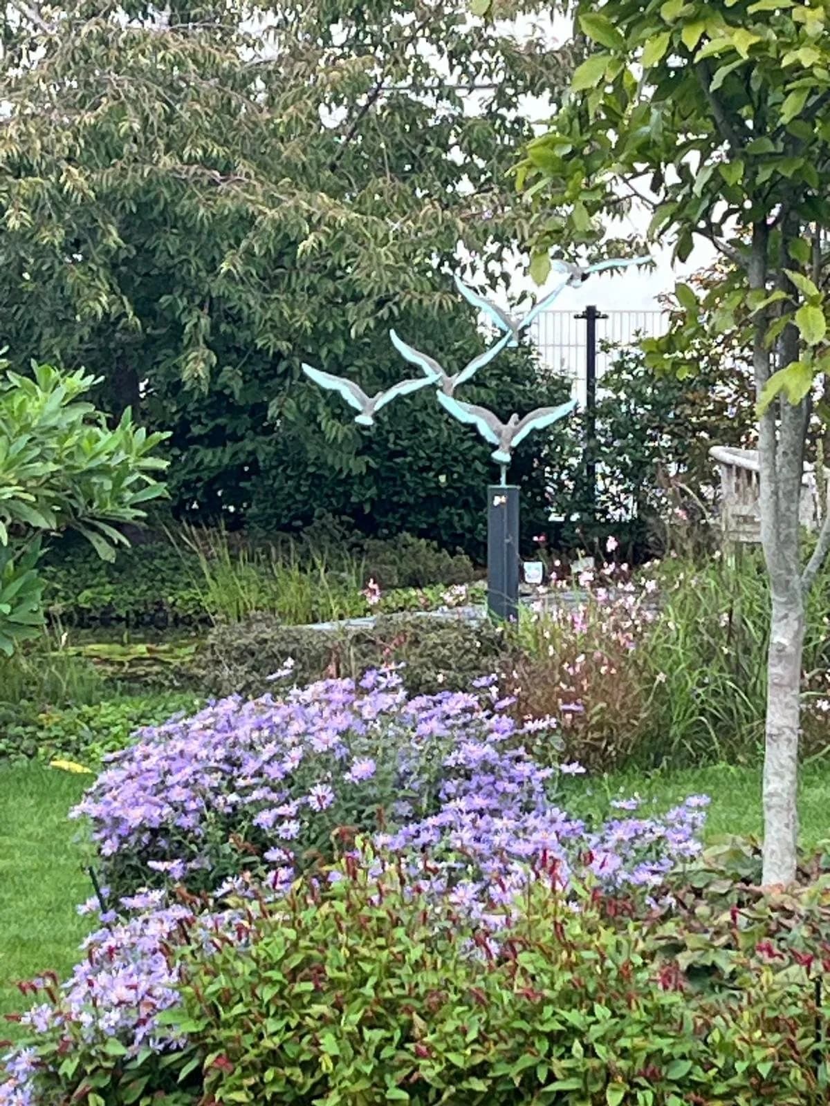 Paarse asters in bloei onder een beeld van vliegende reigers