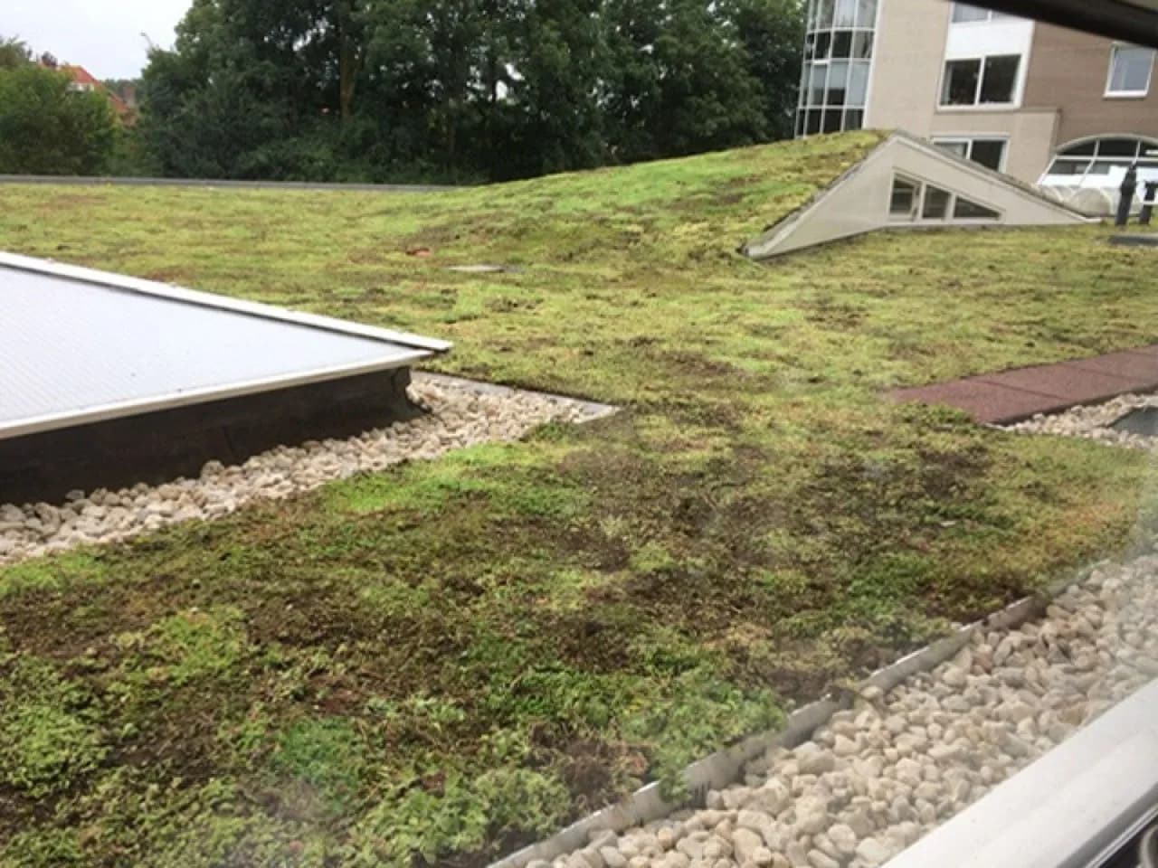 Het groendak van de VvE in Voorburg, uitgevoerd met een ZinCo-systeem