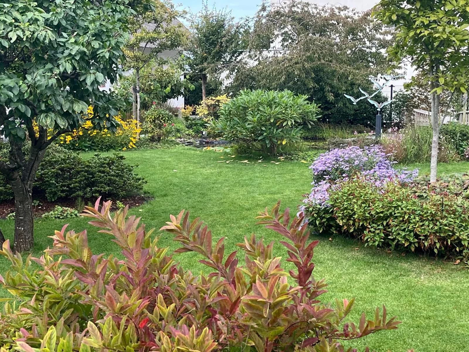 Gazon met asters, een vijver en een beeld van vliegende reigers in een tuin van Diemel