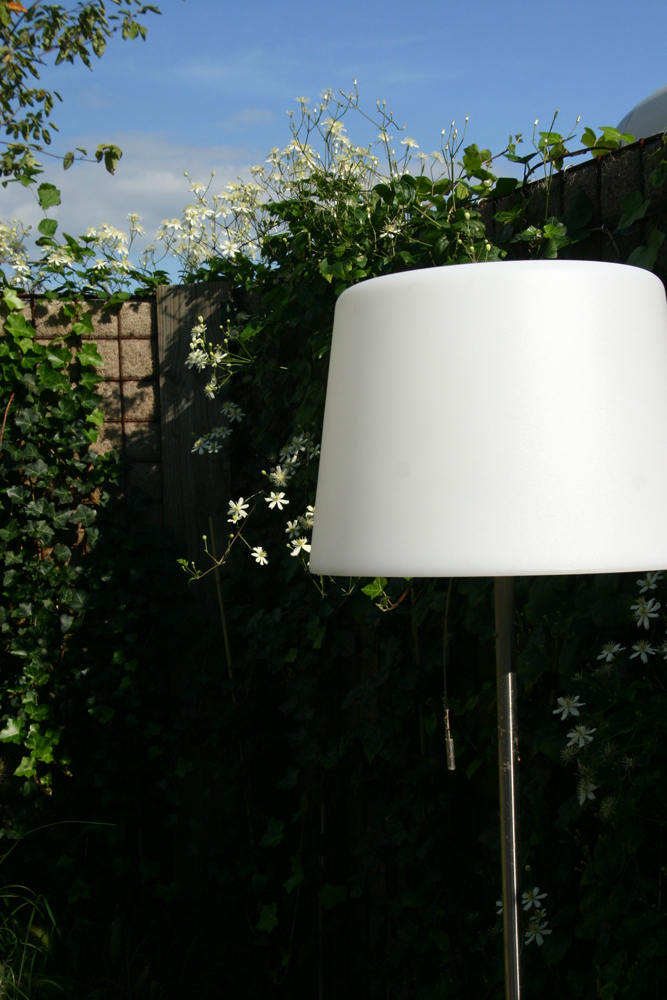 Sfeervolle D-Lounge terras verlichting van Dexter met op de achtergrond een Greenwall afscheiding in Bergschenhoek